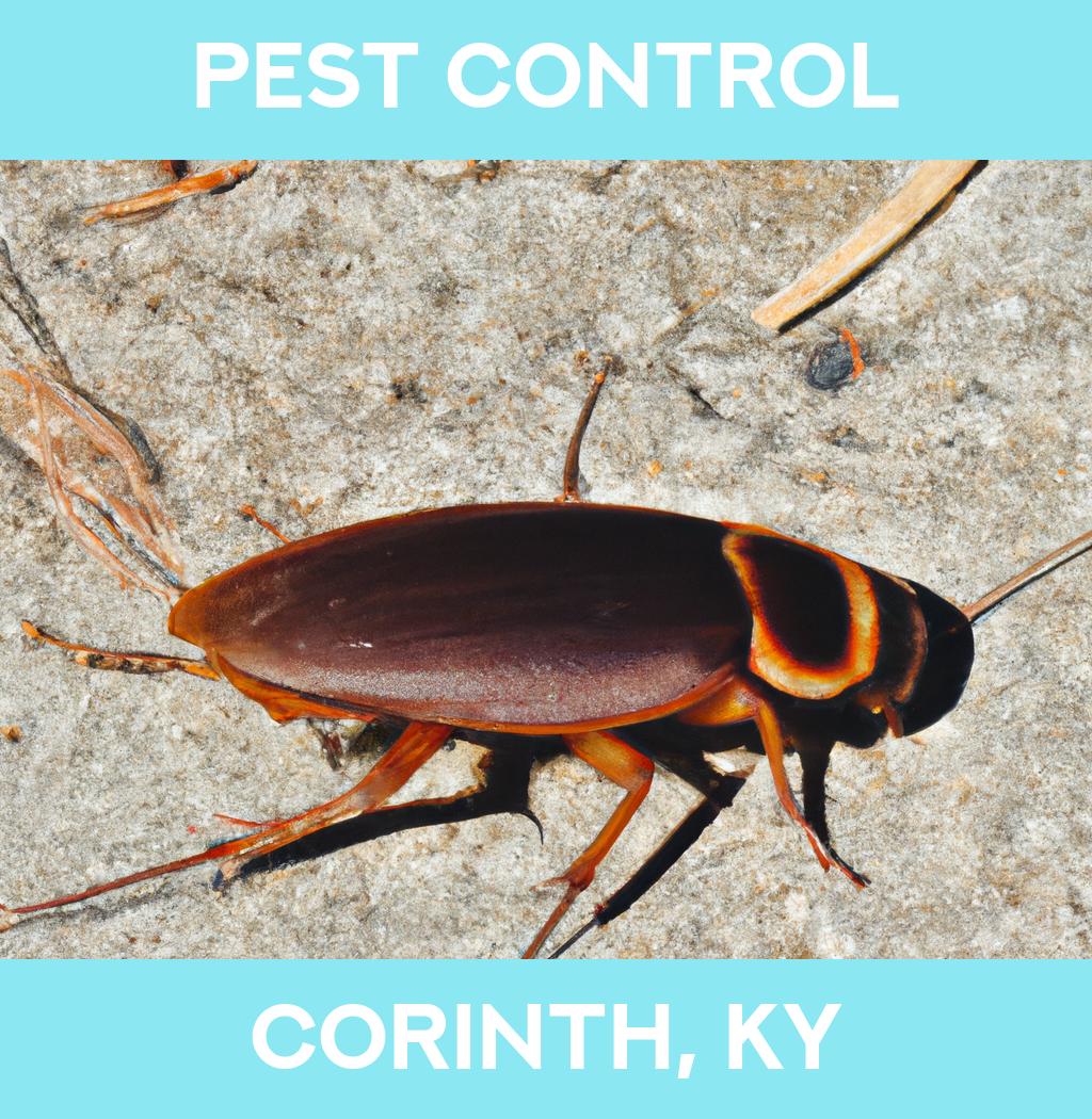 pest control in Corinth Kentucky