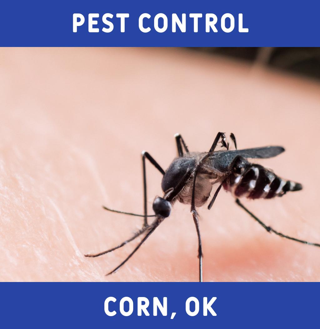 pest control in Corn Oklahoma