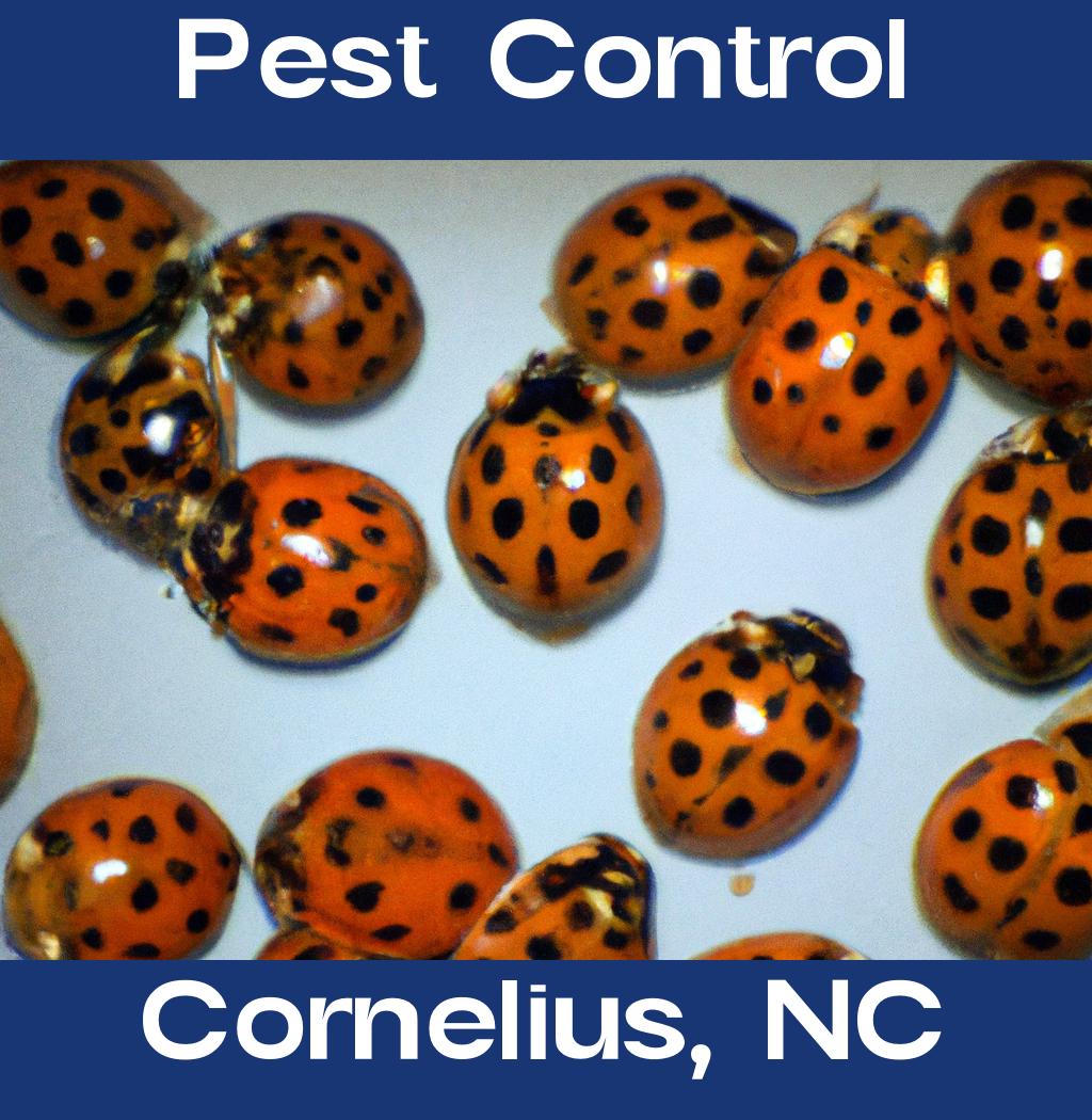 pest control in Cornelius North Carolina