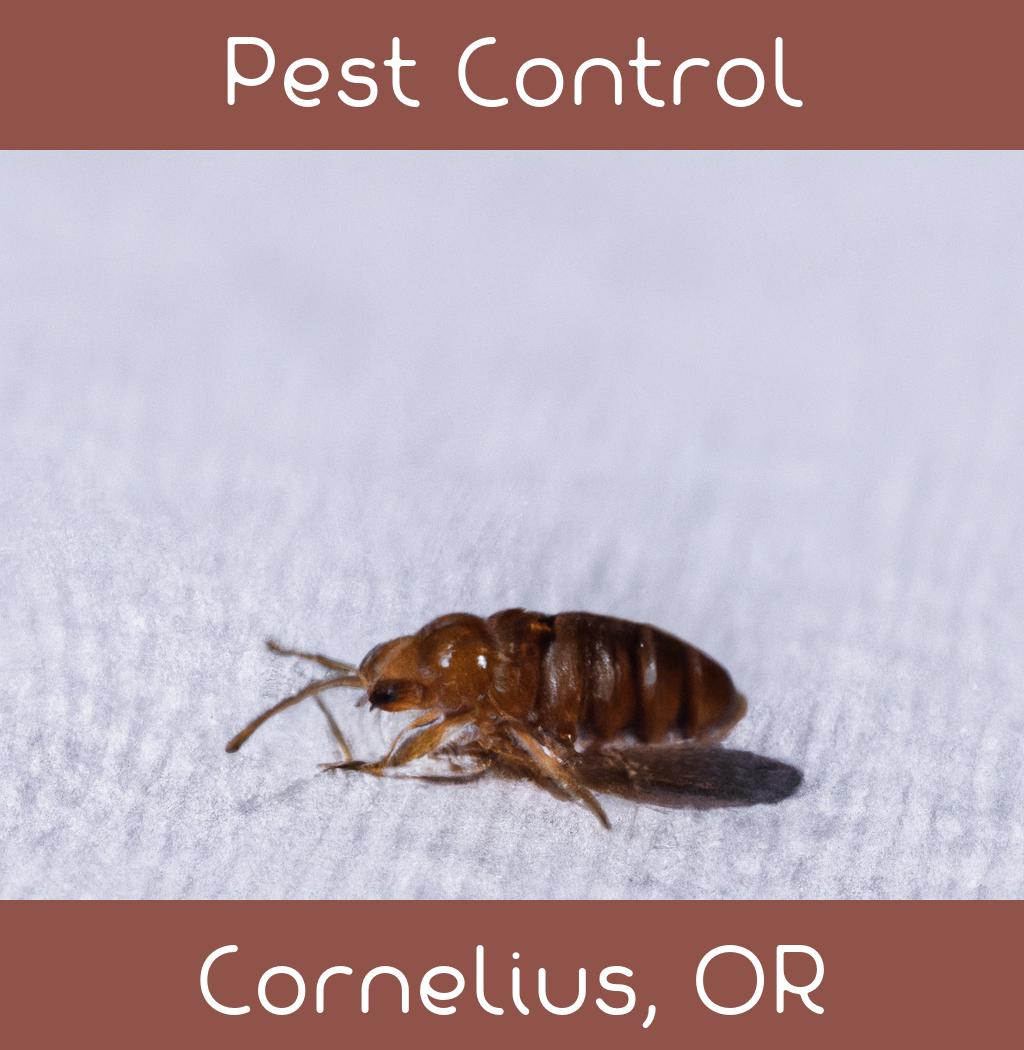 pest control in Cornelius Oregon