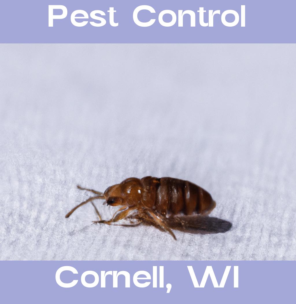 pest control in Cornell Wisconsin
