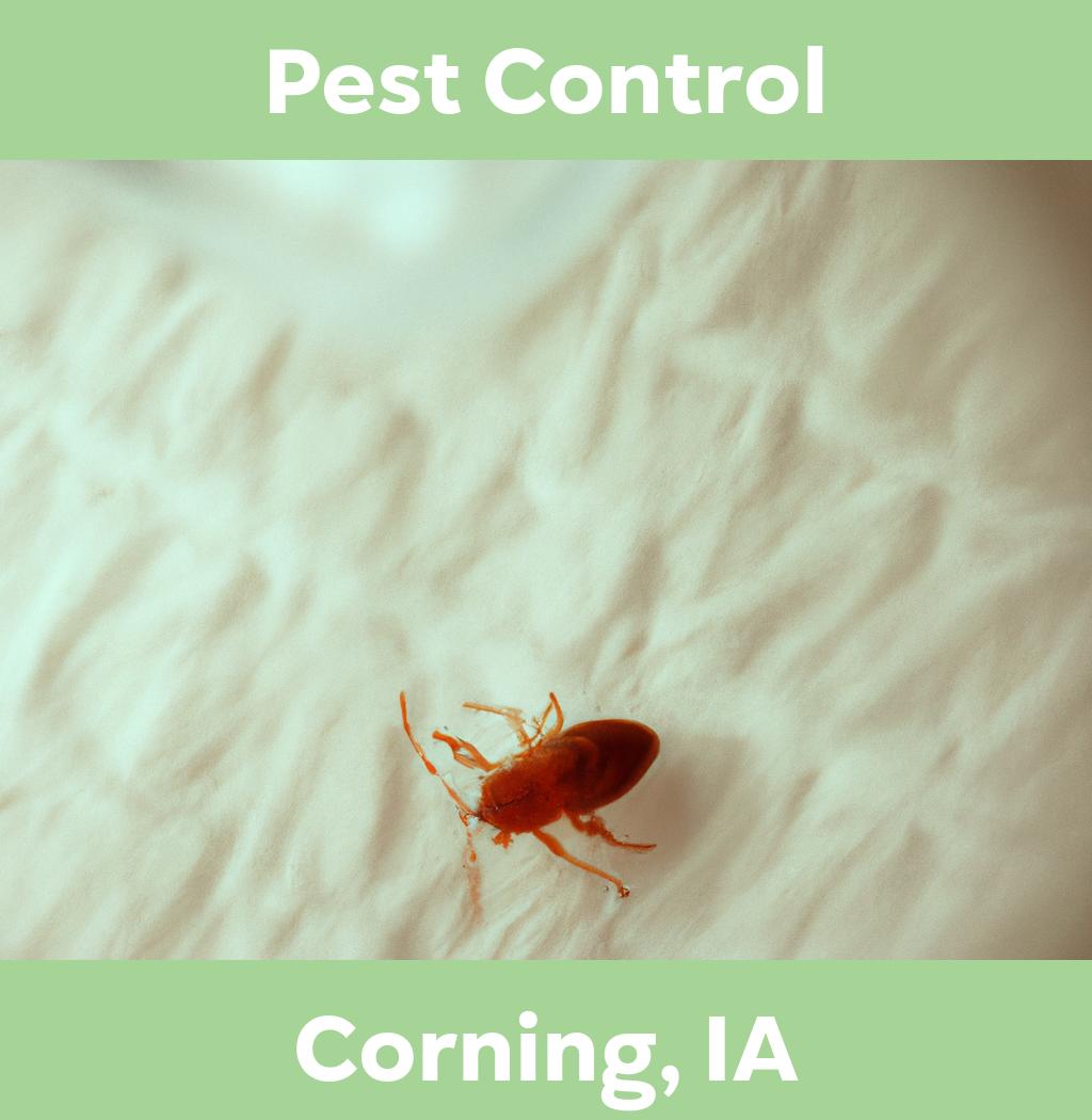 pest control in Corning Iowa