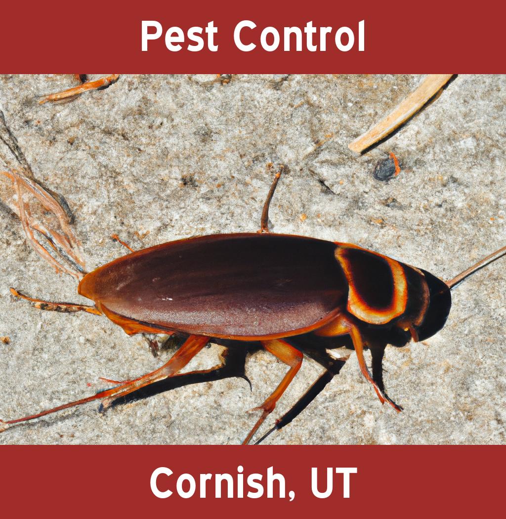 pest control in Cornish Utah