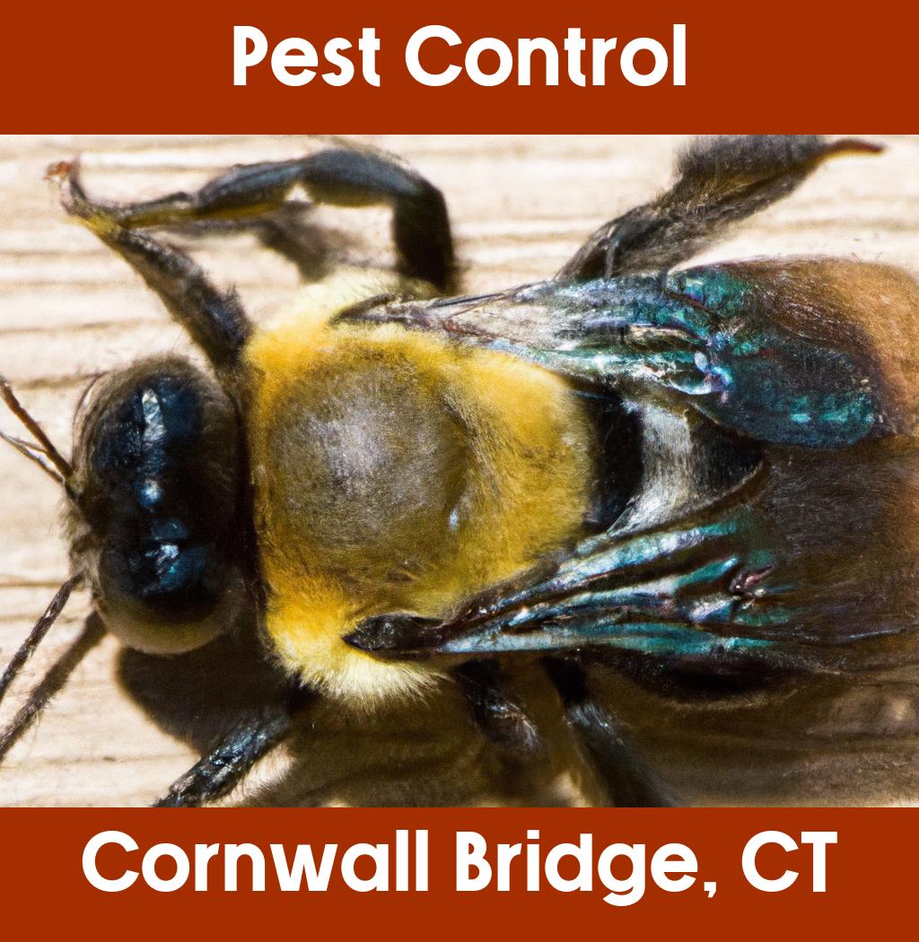 pest control in Cornwall Bridge Connecticut