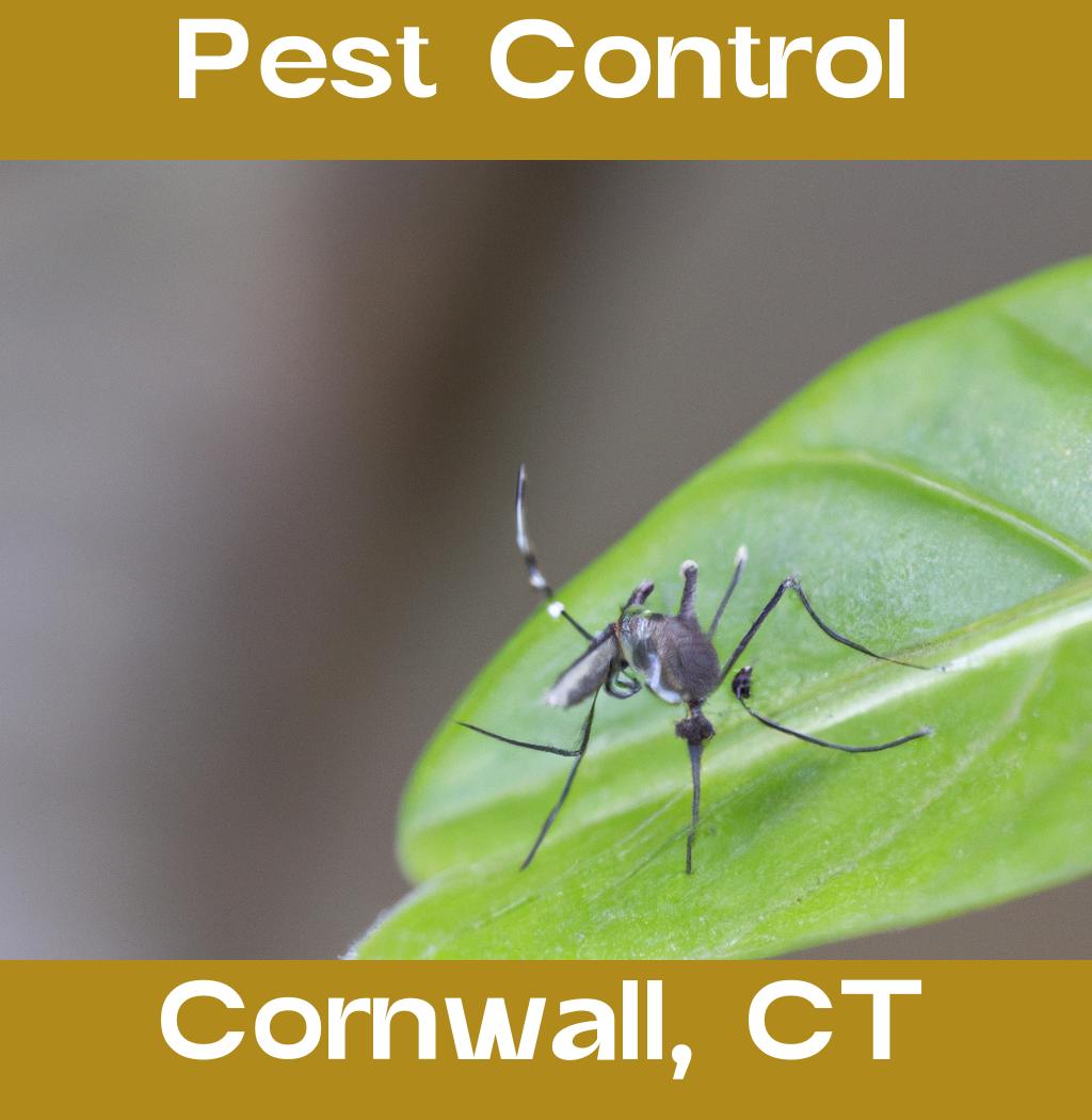 pest control in Cornwall Connecticut