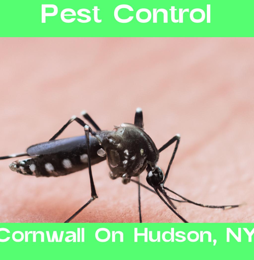 pest control in Cornwall On Hudson New York
