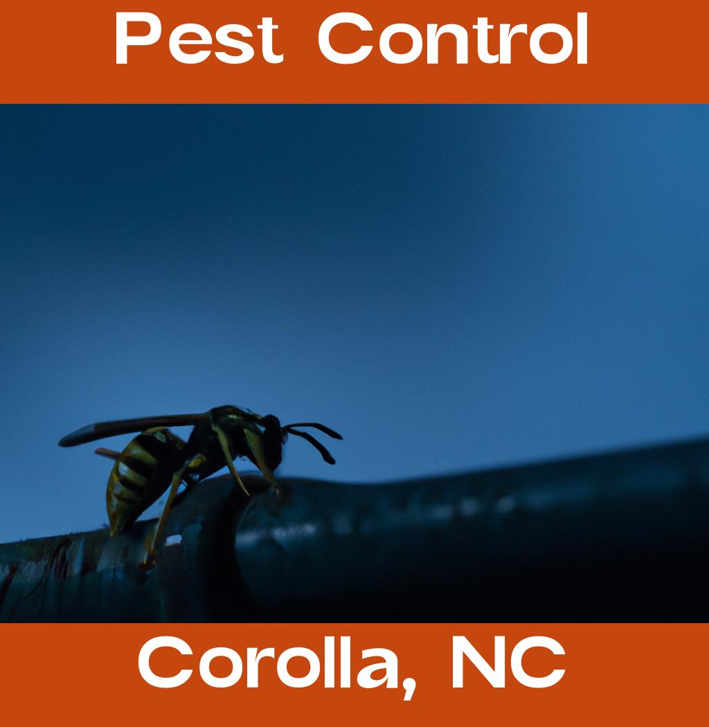 pest control in Corolla North Carolina