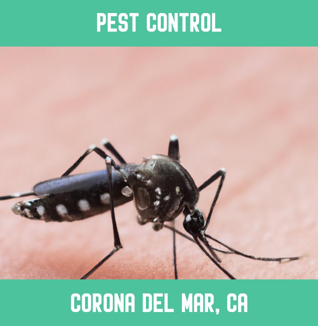 pest control in Corona Del Mar California