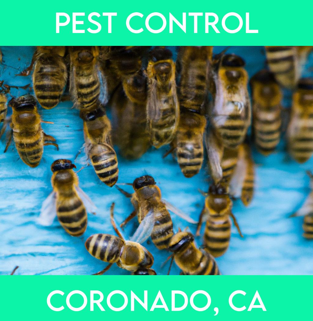 pest control in Coronado California