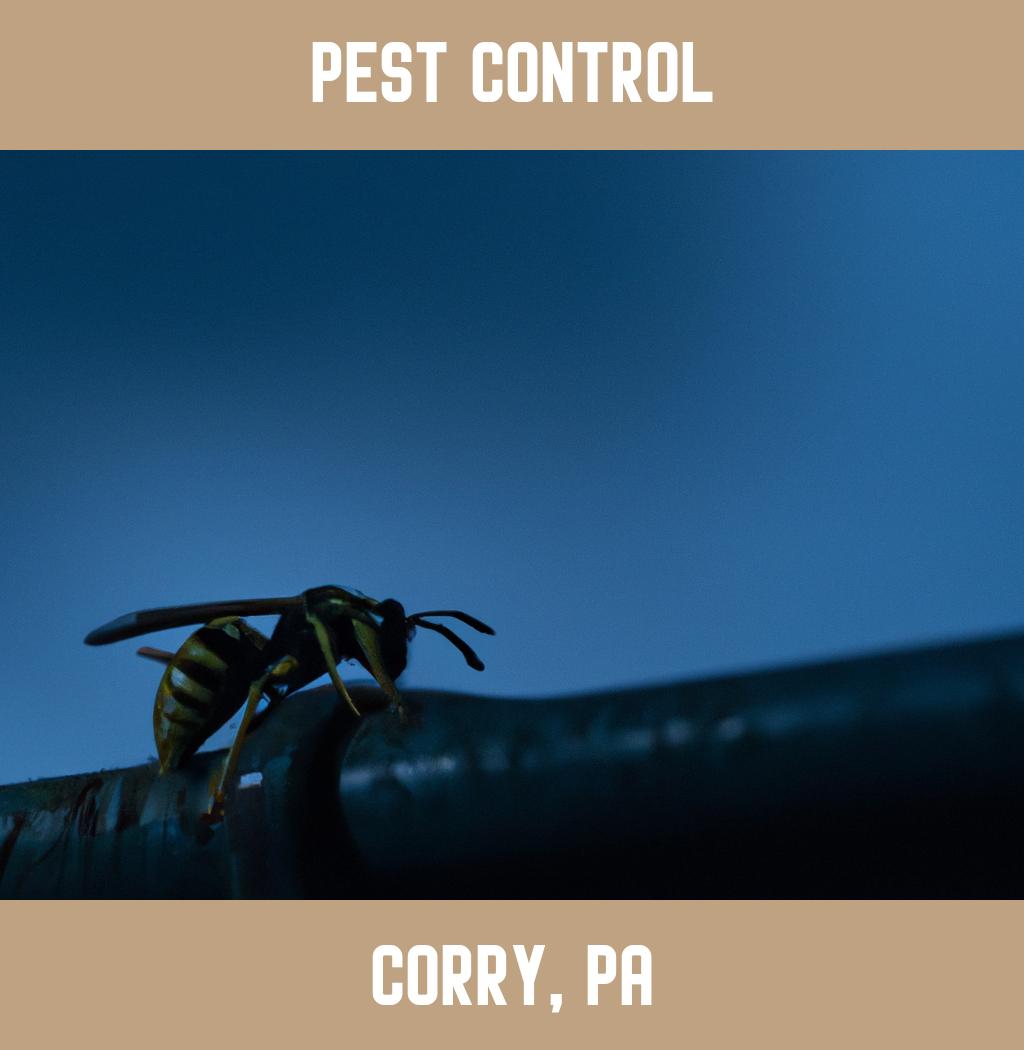 pest control in Corry Pennsylvania