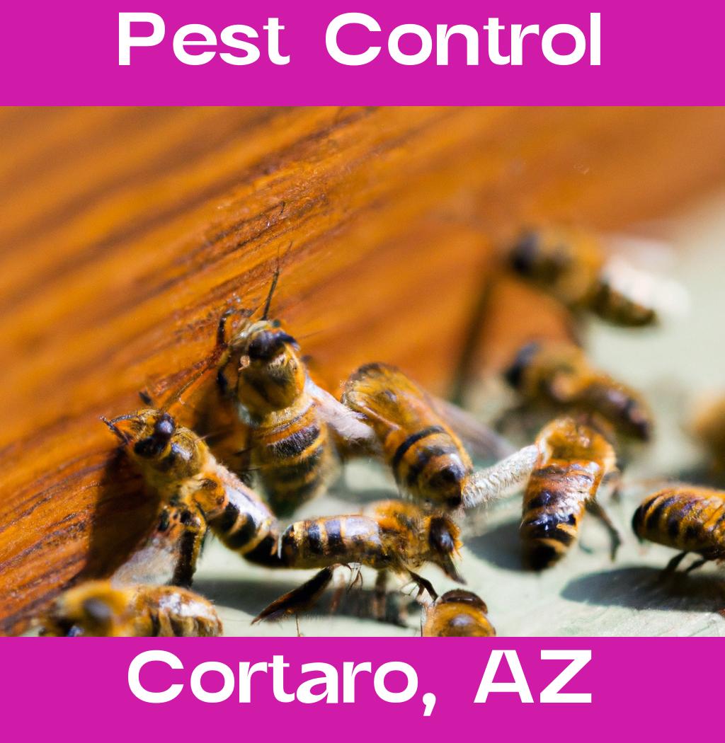 pest control in Cortaro Arizona
