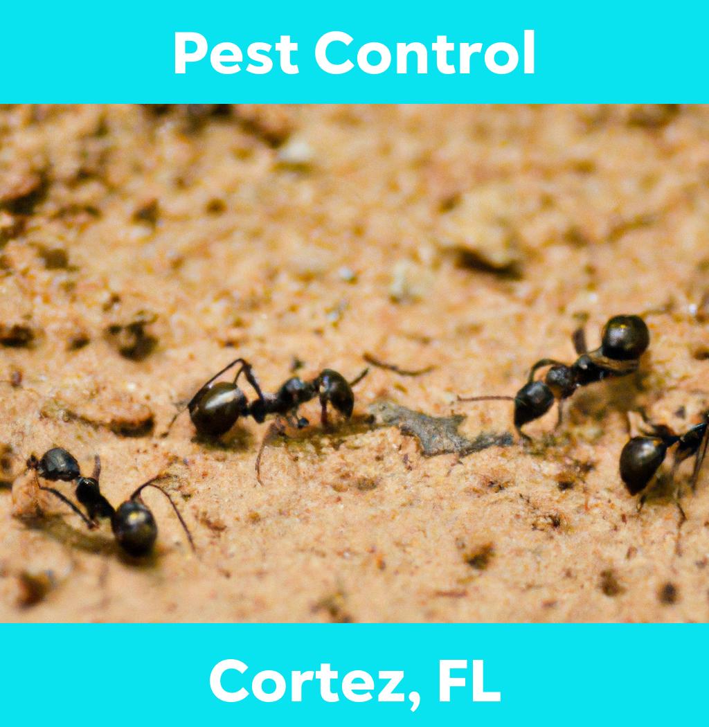 pest control in Cortez Florida