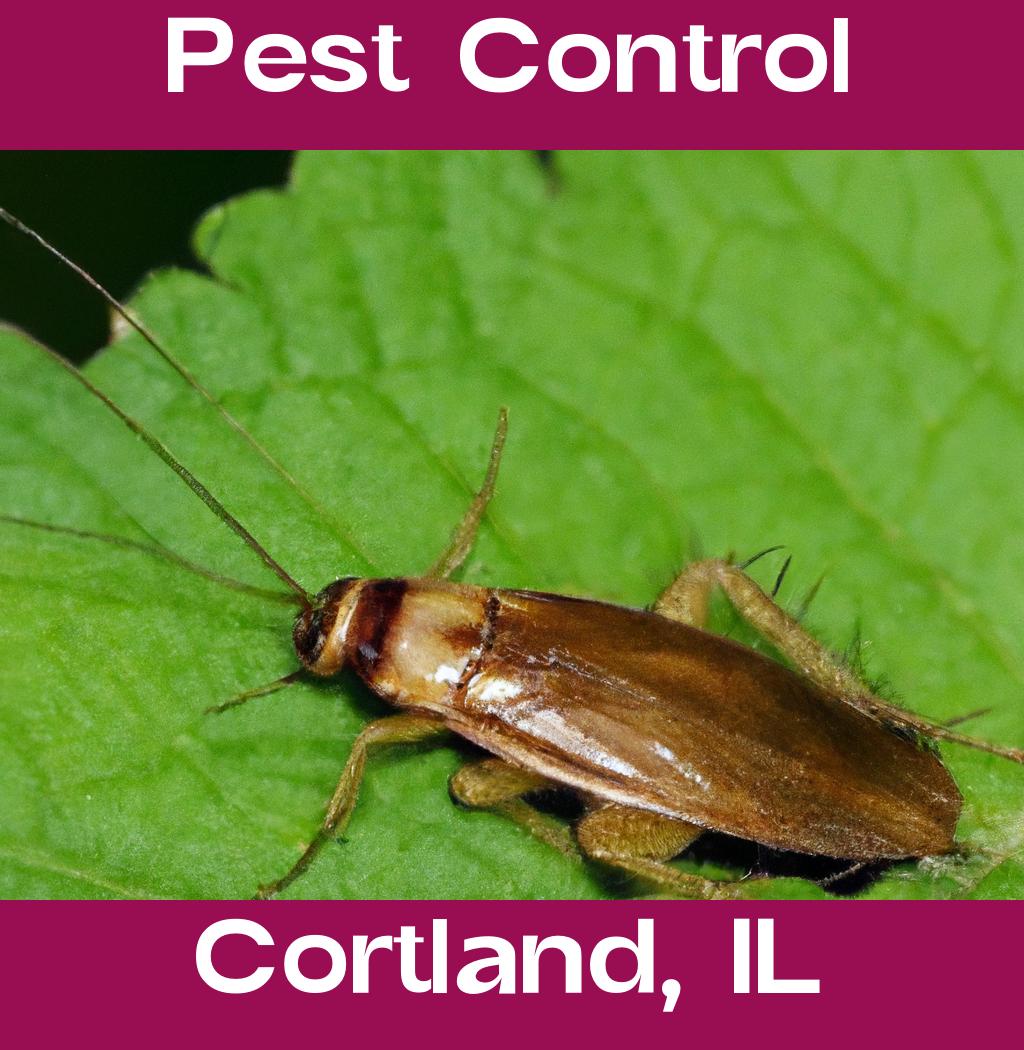 pest control in Cortland Illinois