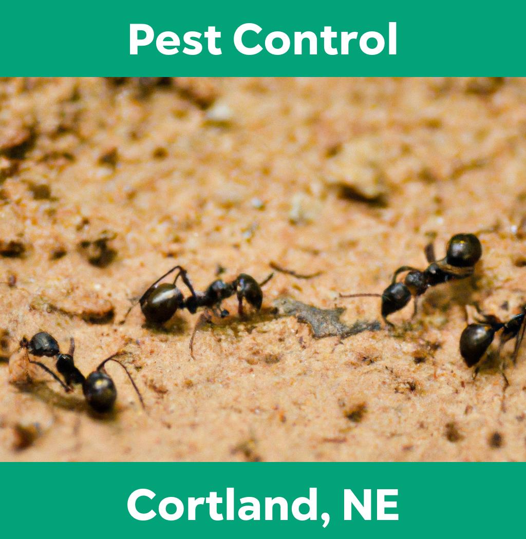 pest control in Cortland Nebraska