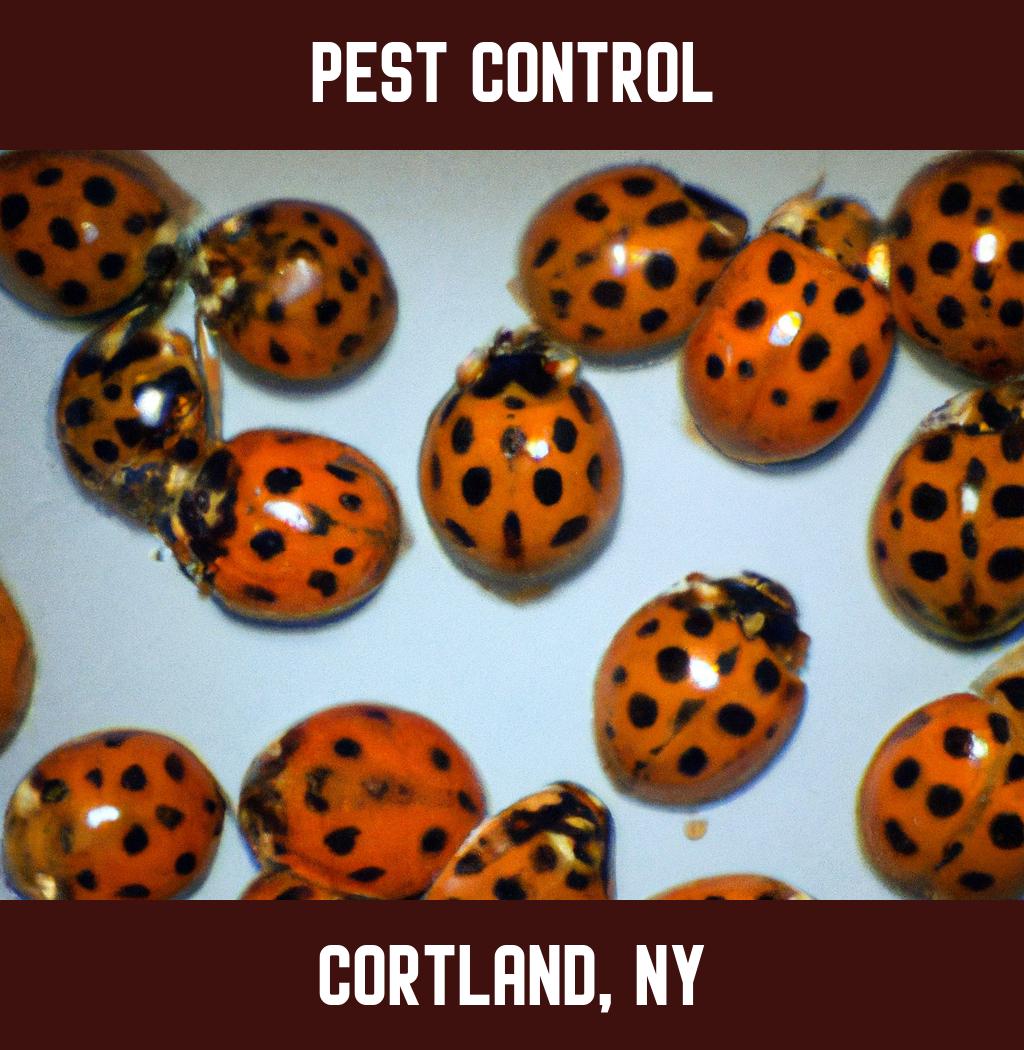 pest control in Cortland New York