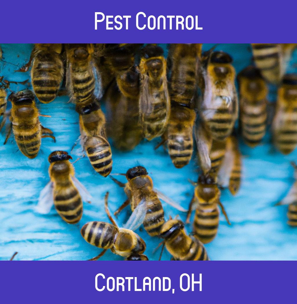 pest control in Cortland Ohio