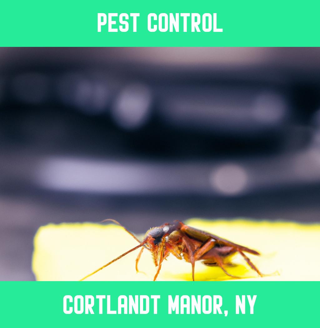 pest control in Cortlandt Manor New York