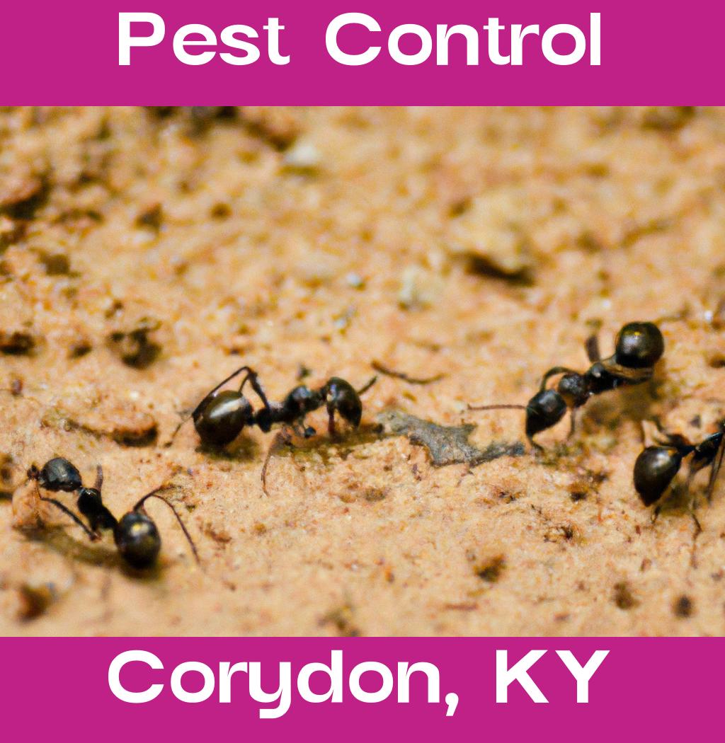 pest control in Corydon Kentucky