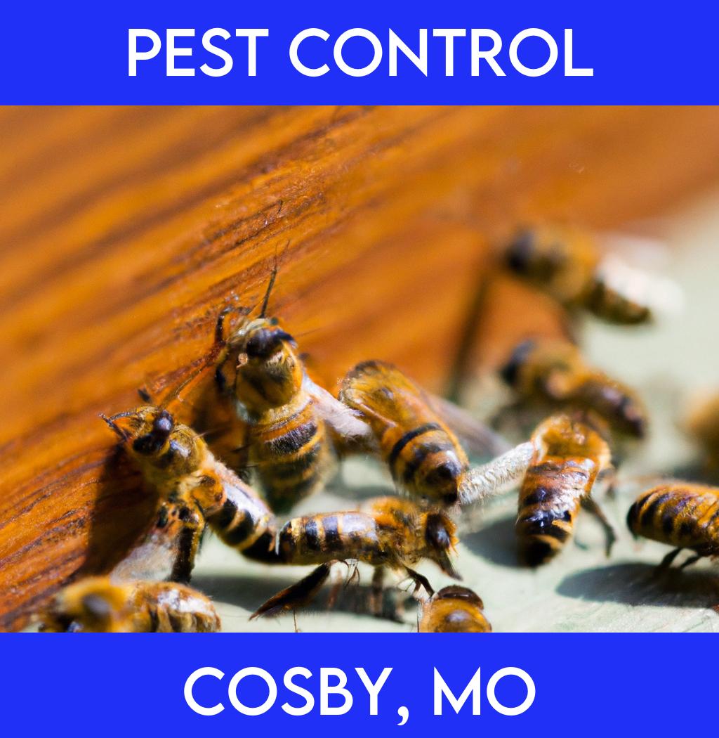 pest control in Cosby Missouri