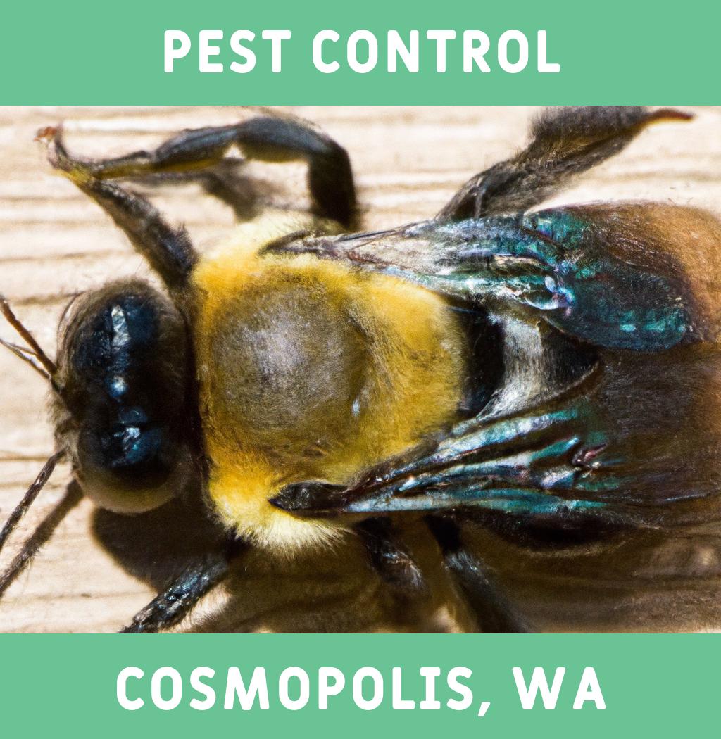 pest control in Cosmopolis Washington