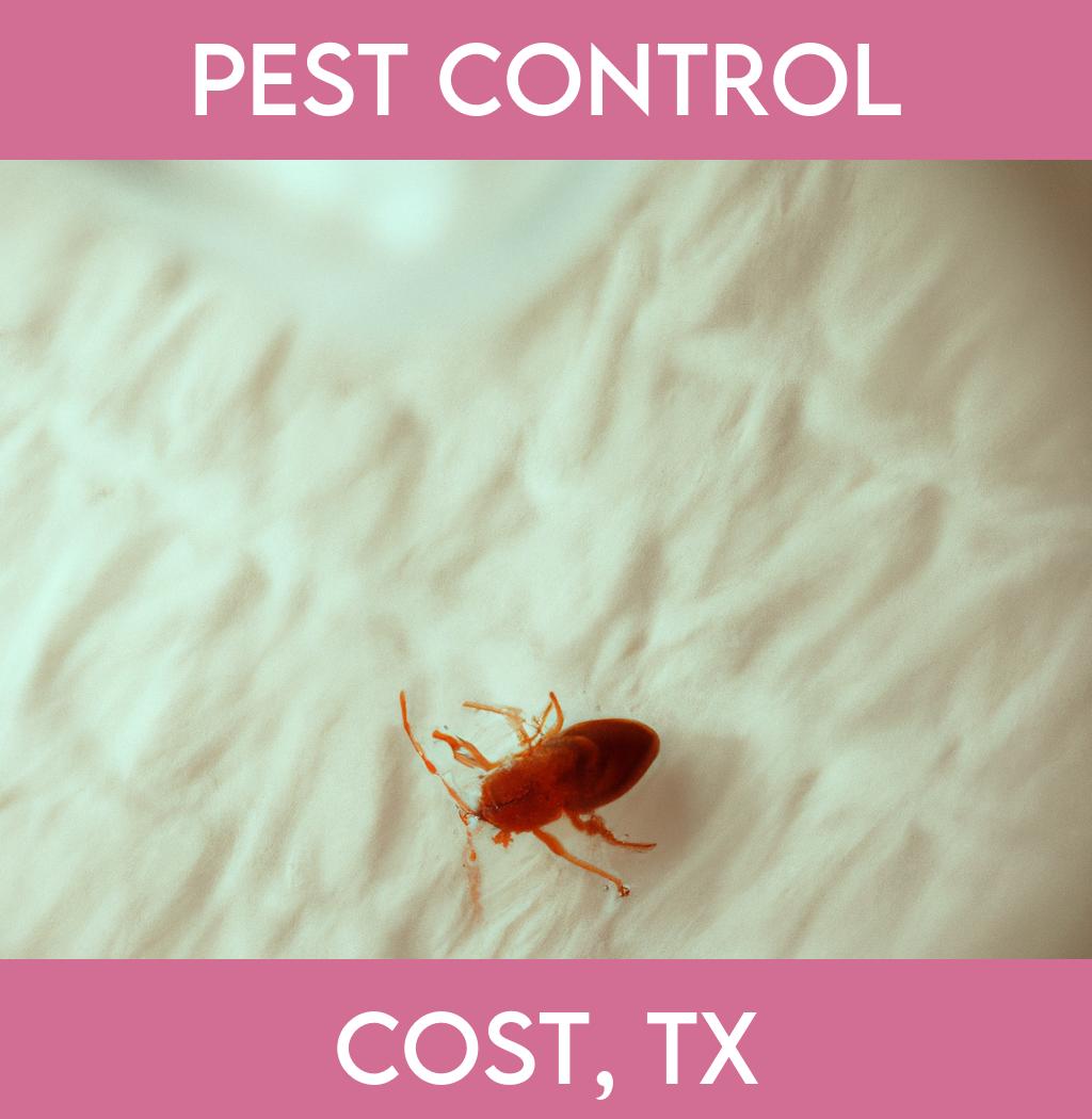 pest control in Cost Texas