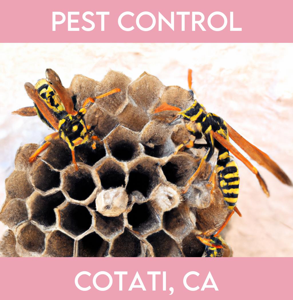 pest control in Cotati California