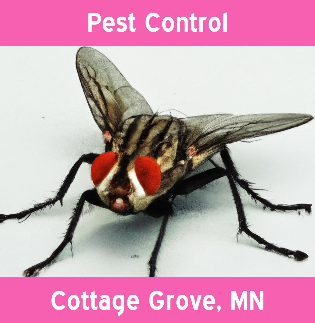 pest control in Cottage Grove Minnesota
