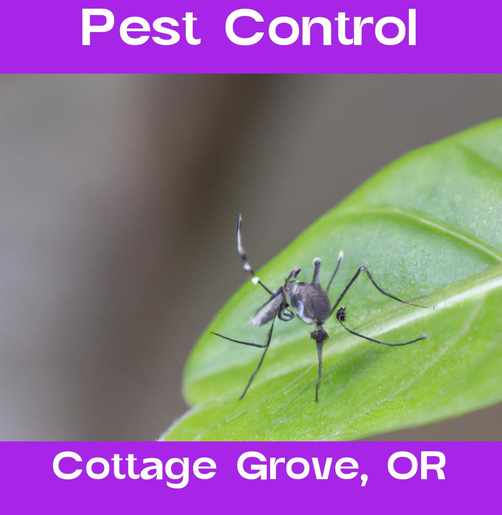 pest control in Cottage Grove Oregon