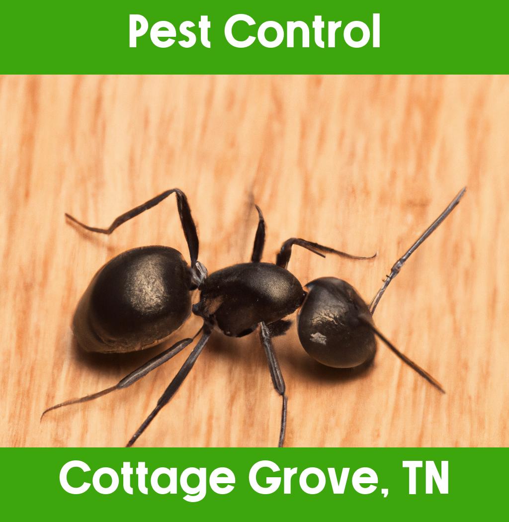 pest control in Cottage Grove Tennessee