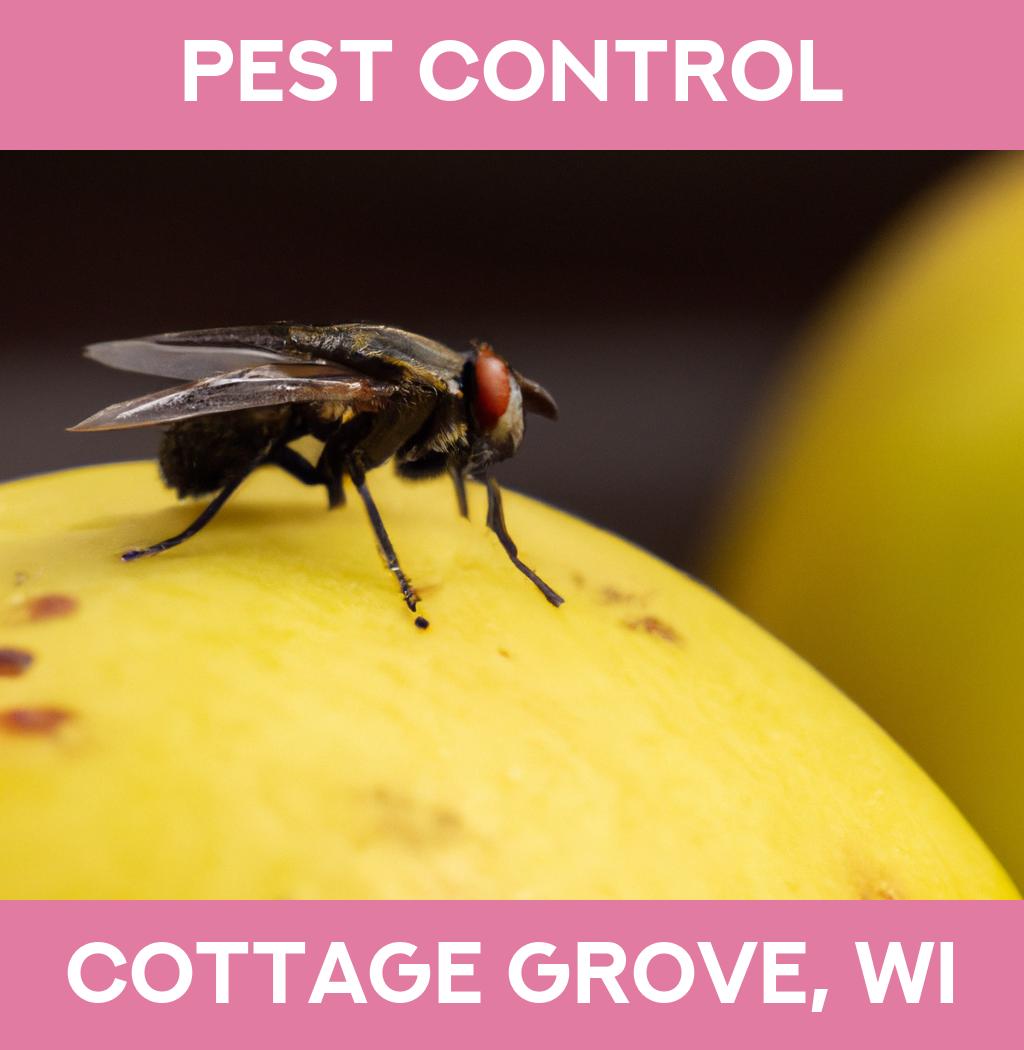 pest control in Cottage Grove Wisconsin