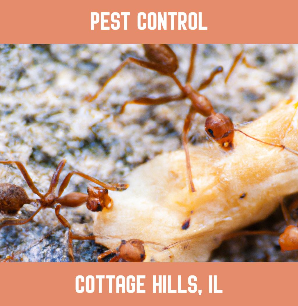pest control in Cottage Hills Illinois