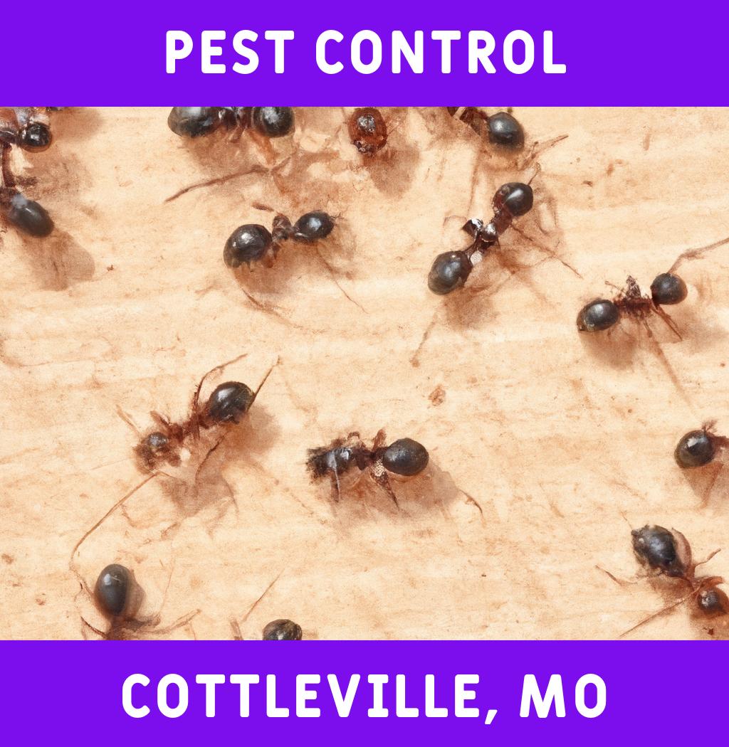 pest control in Cottleville Missouri