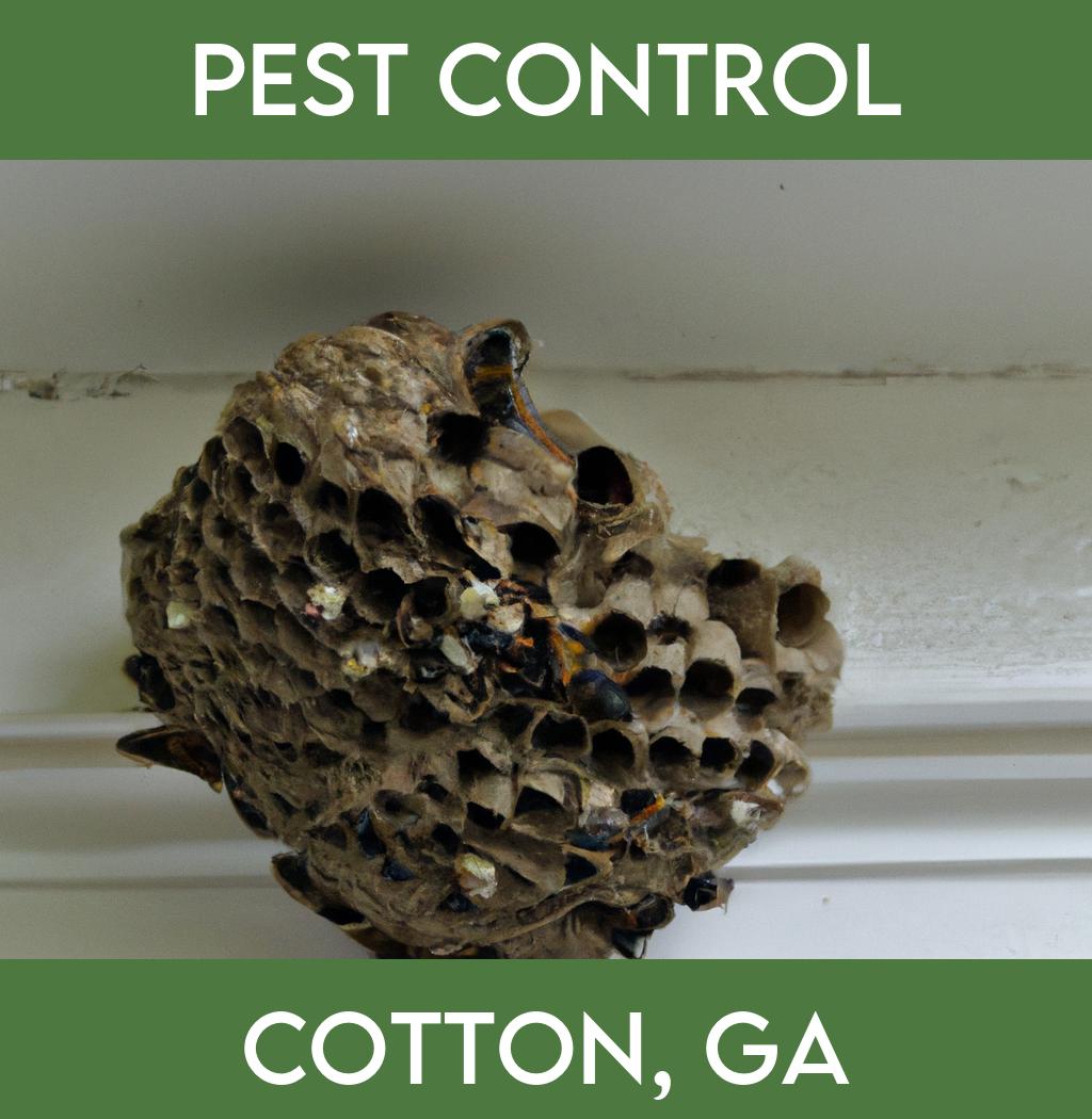 pest control in Cotton Georgia