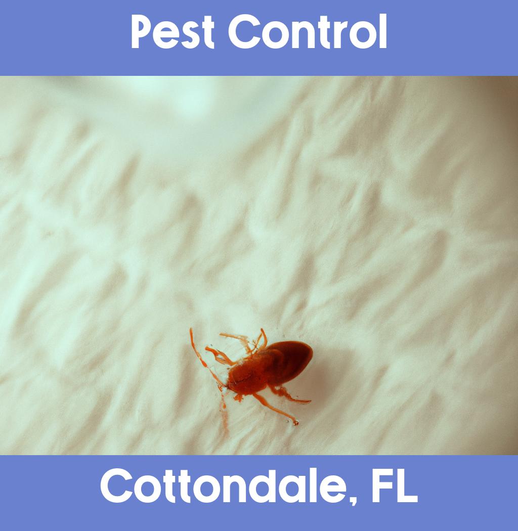 pest control in Cottondale Florida