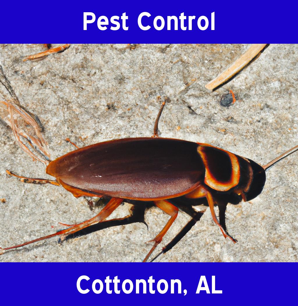 pest control in Cottonton Alabama