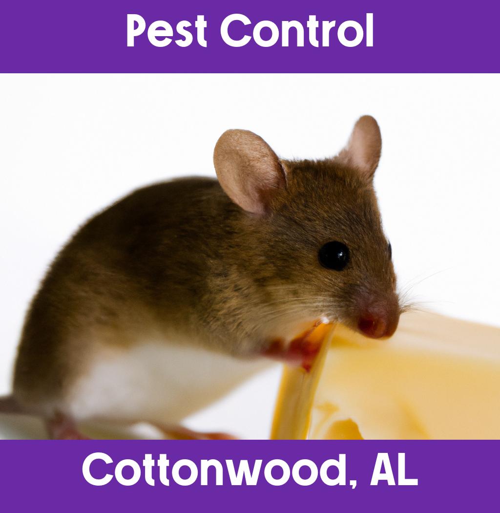 pest control in Cottonwood Alabama