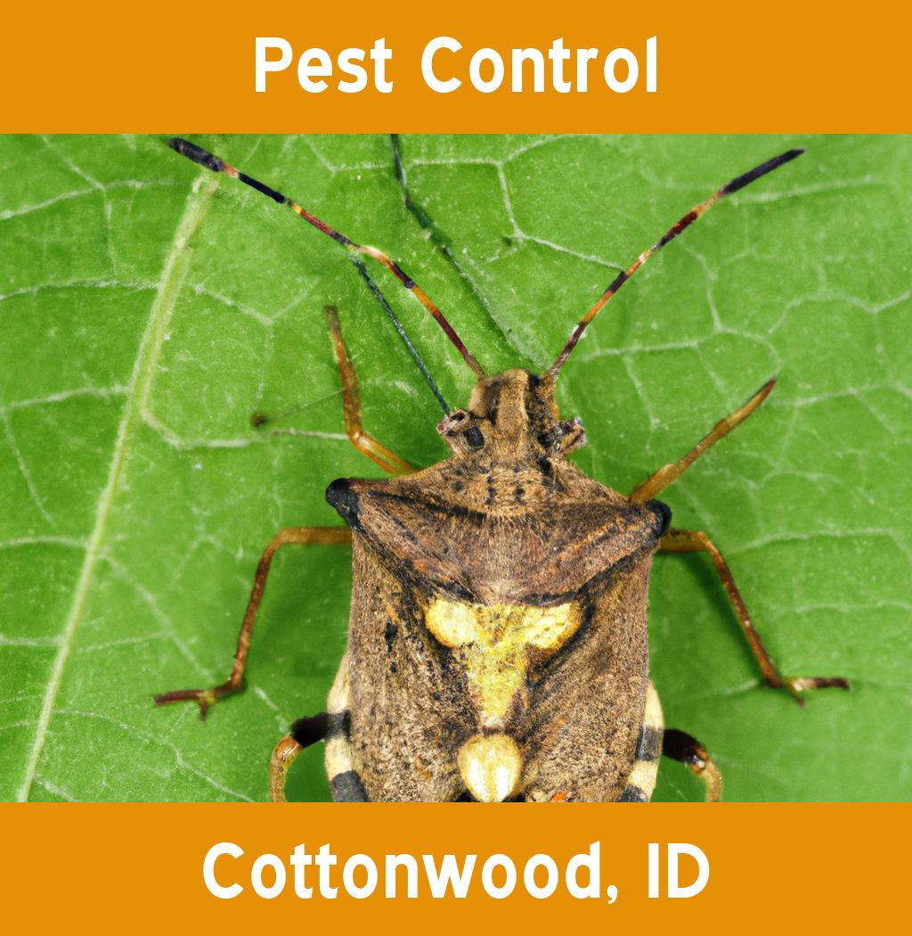 pest control in Cottonwood Idaho
