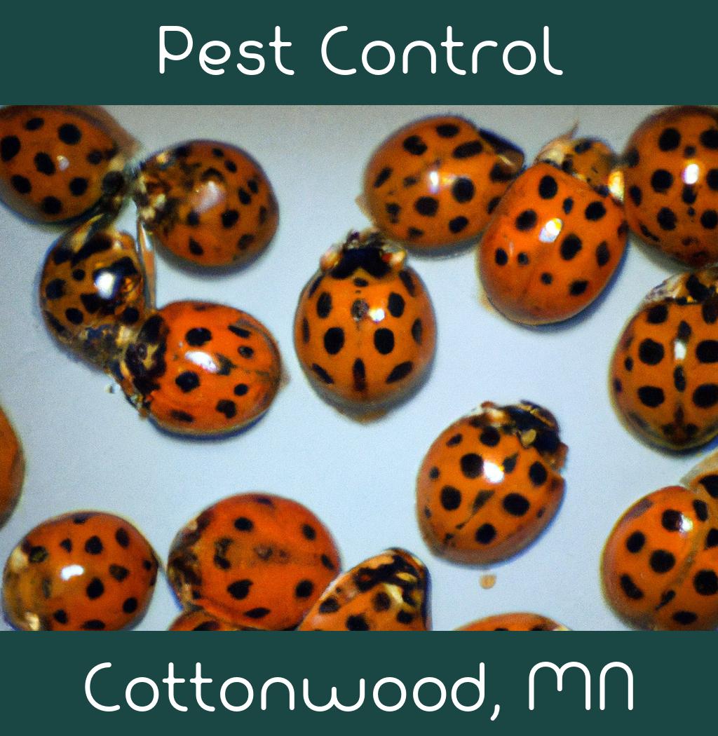 pest control in Cottonwood Minnesota