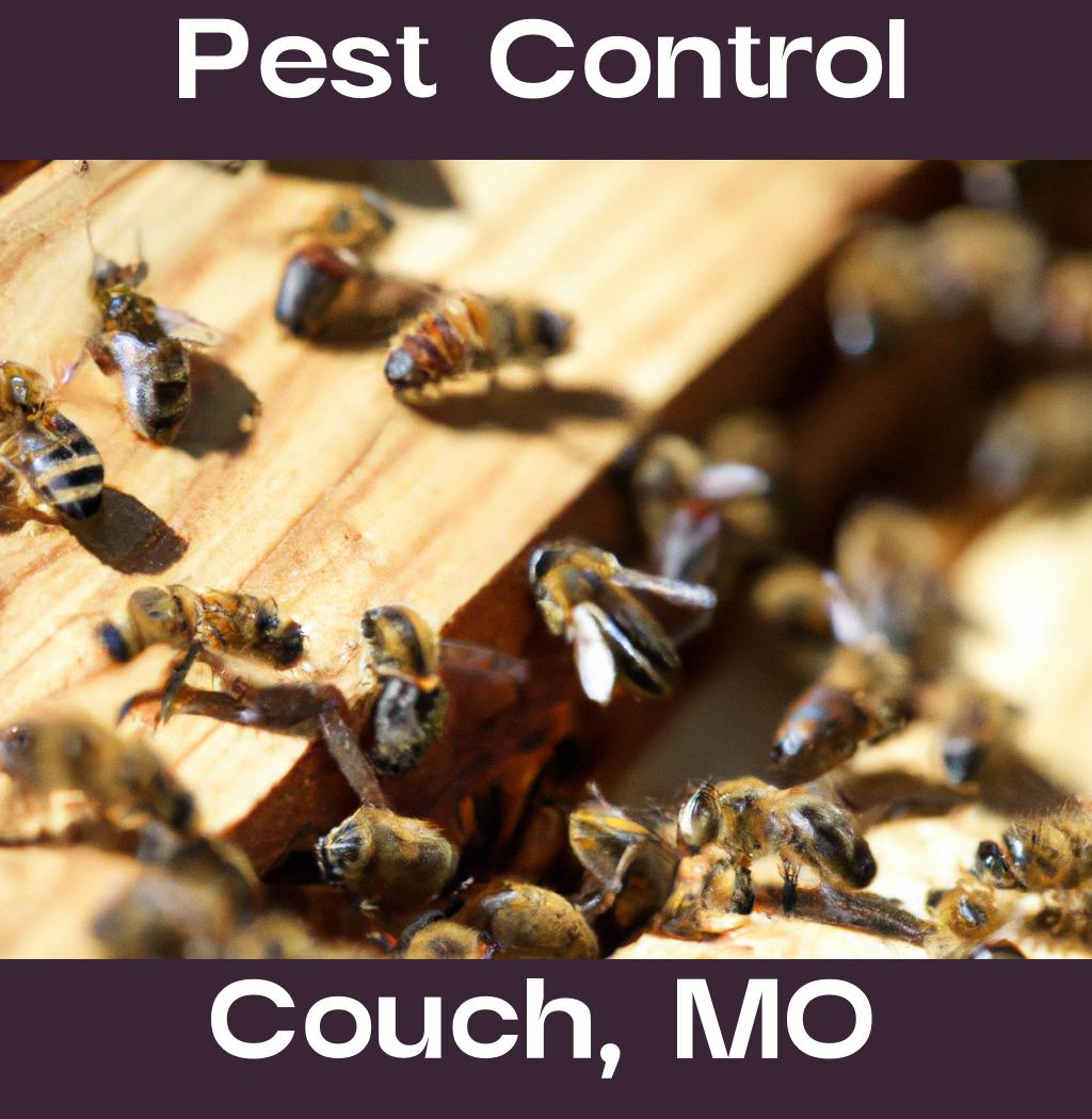 pest control in Couch Missouri