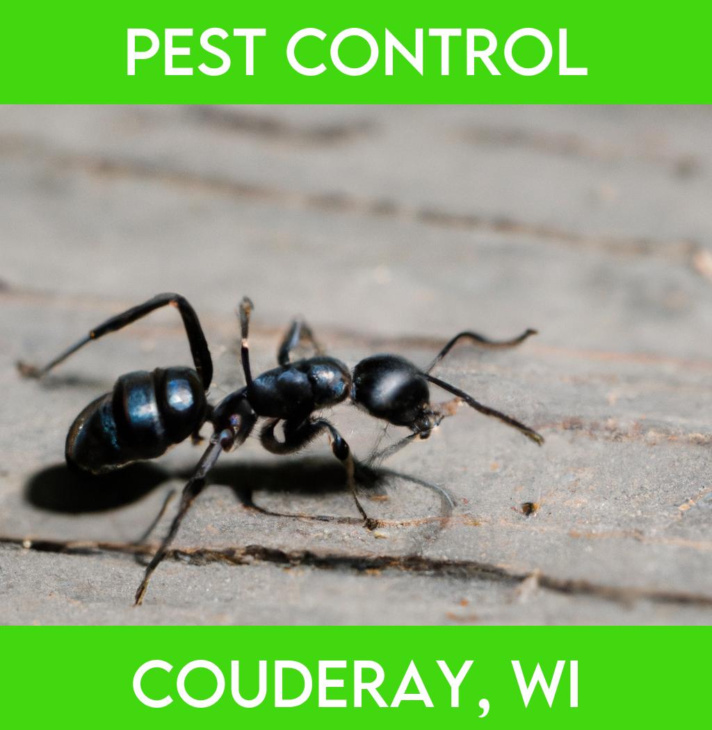 pest control in Couderay Wisconsin