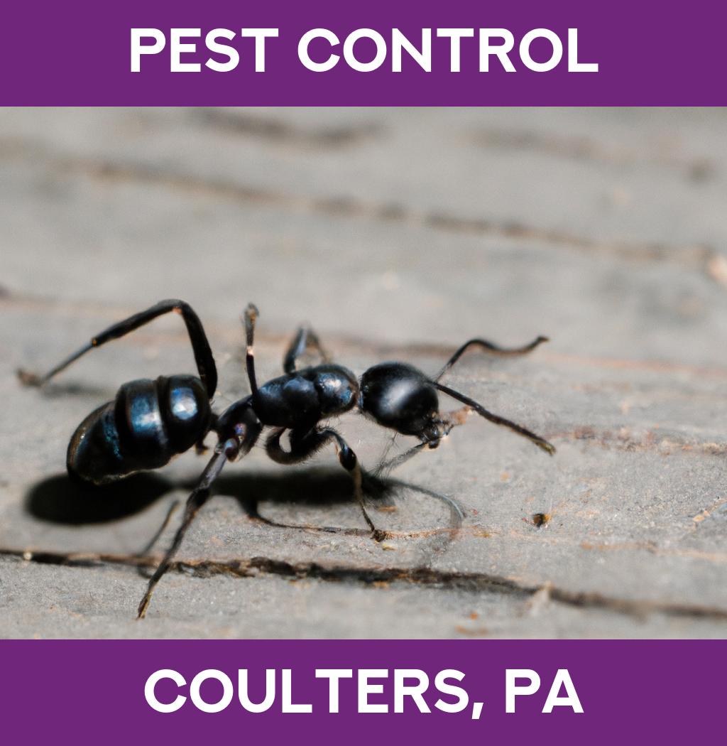 pest control in Coulters Pennsylvania