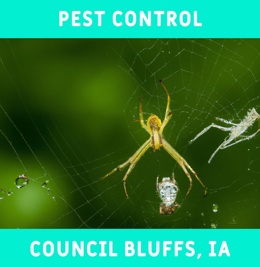 pest control in Council Bluffs Iowa