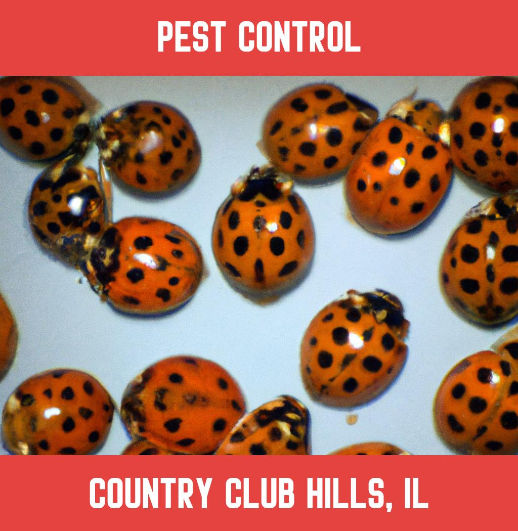 pest control in Country Club Hills Illinois