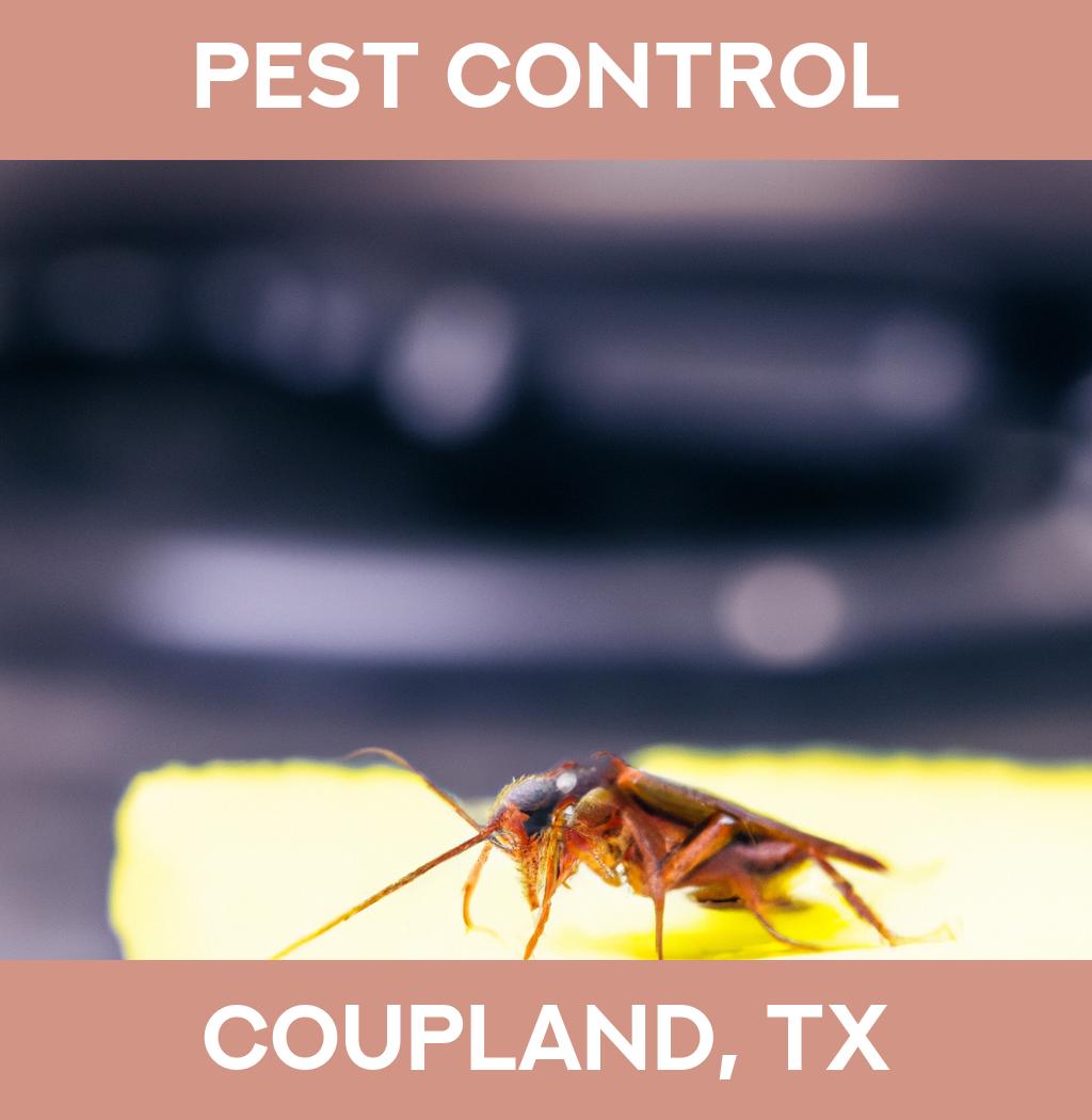pest control in Coupland Texas