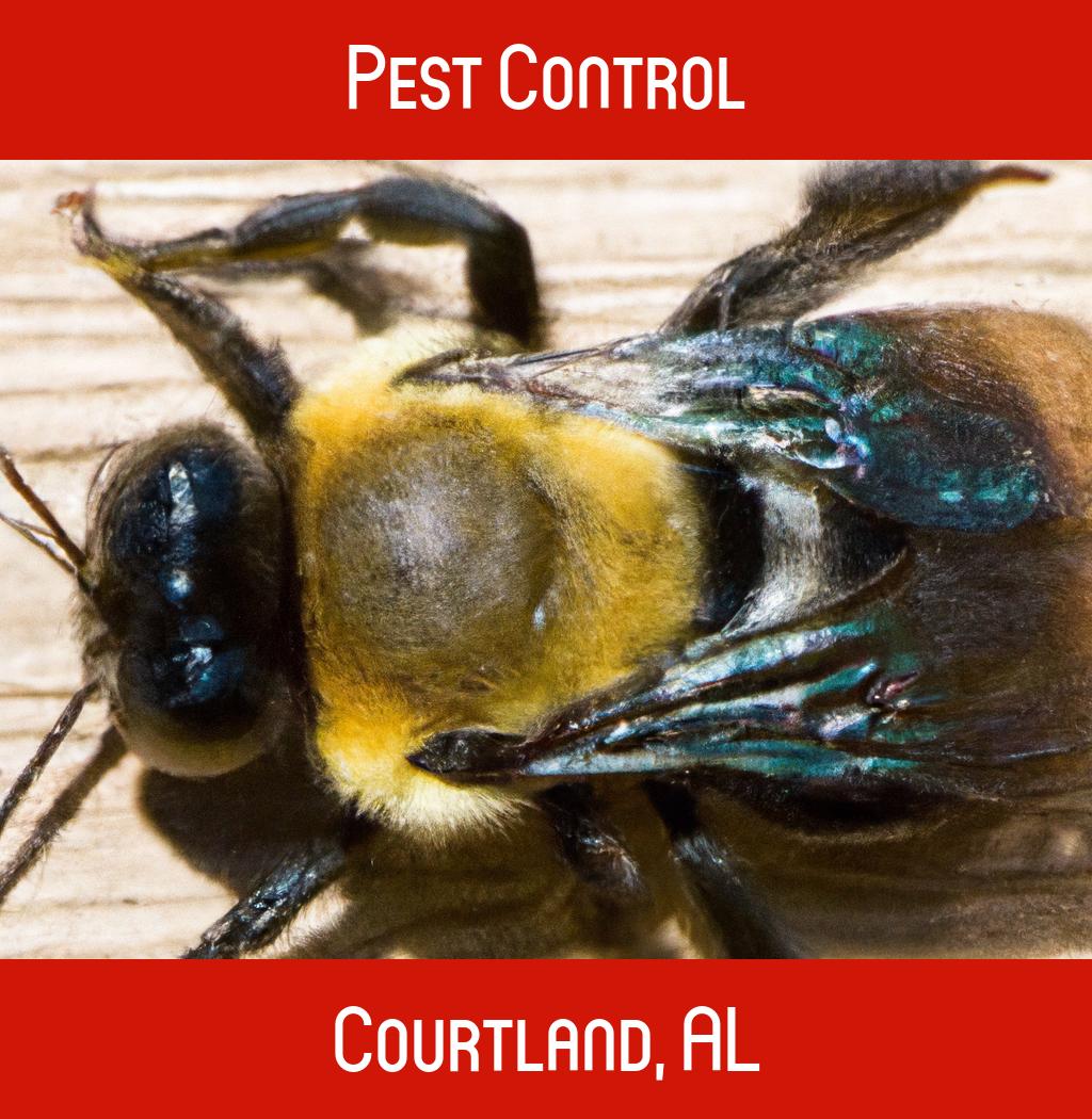 pest control in Courtland Alabama
