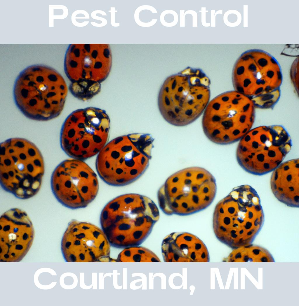 pest control in Courtland Minnesota