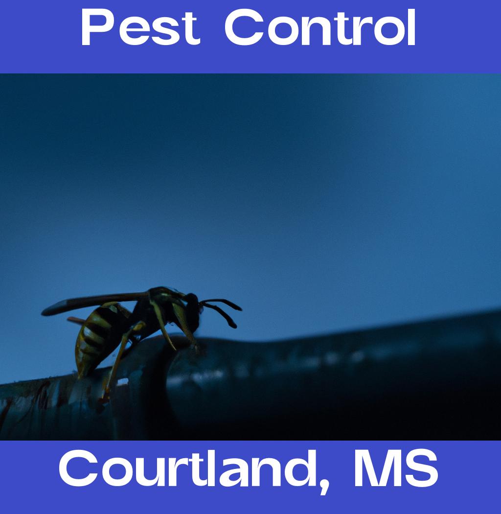 pest control in Courtland Mississippi