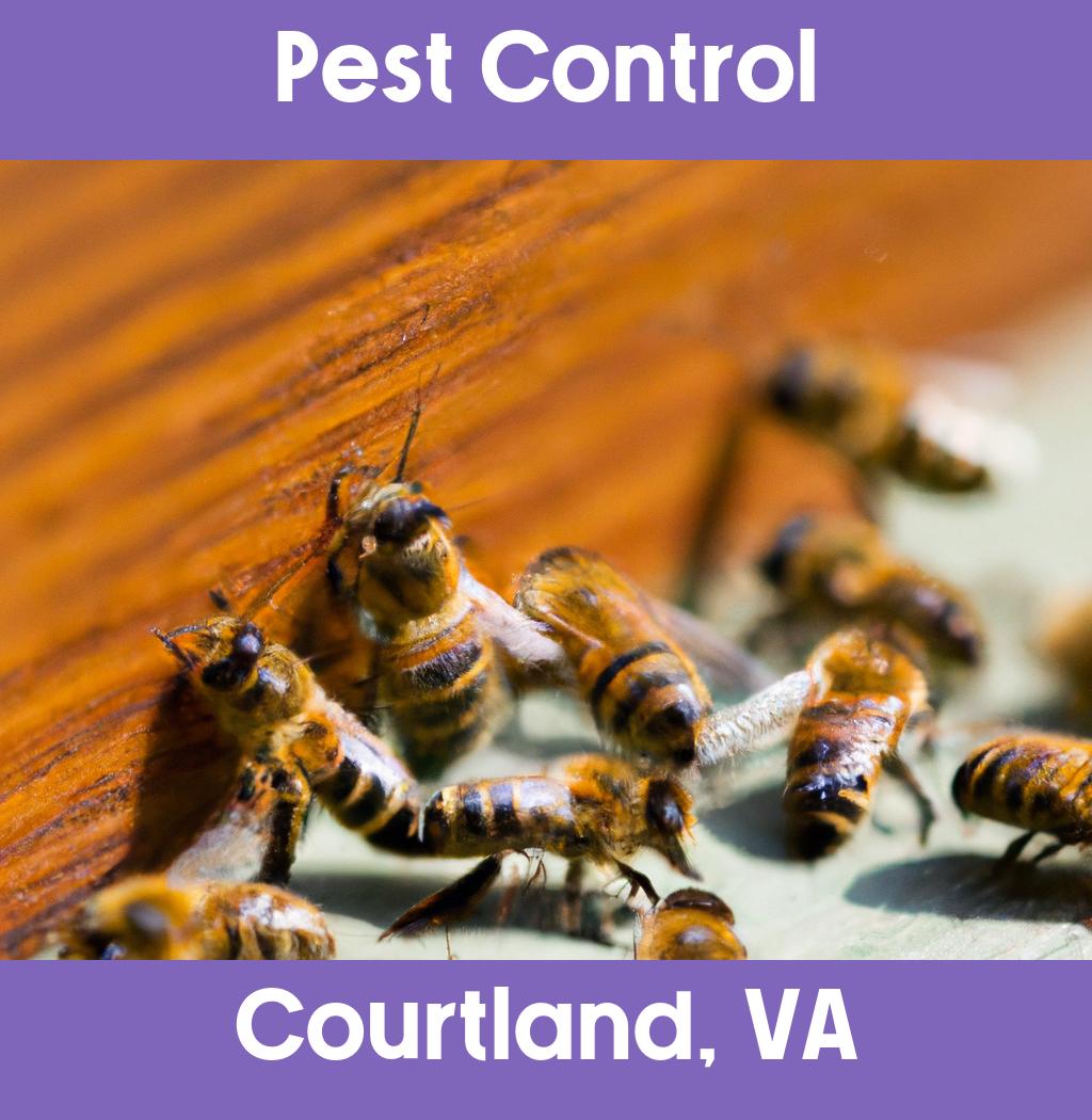 pest control in Courtland Virginia