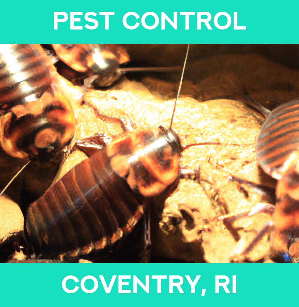 pest control in Coventry Rhode Island