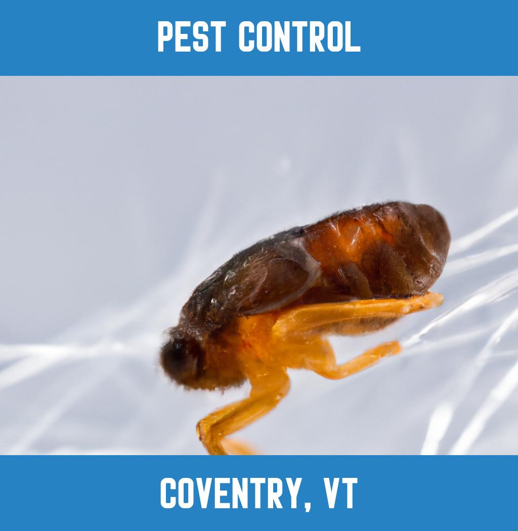 pest control in Coventry Vermont